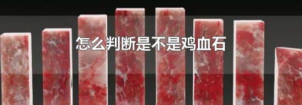 怎么判断是不是鸡血石