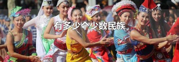 有多少个少数民族