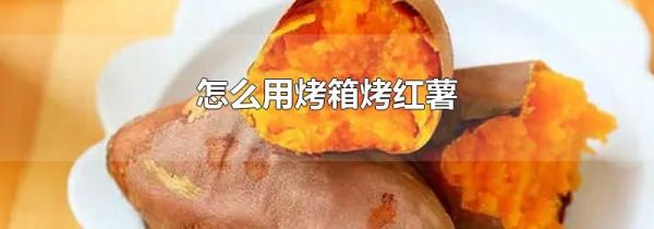 怎么用烤箱烤红薯