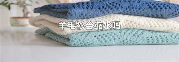 羊毛衫会缩水吗