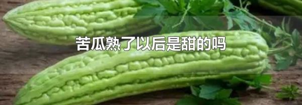 苦瓜熟了以后是甜的吗