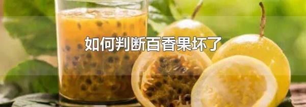 如何判断百香果坏了