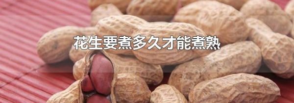 花生要煮多久才能煮熟