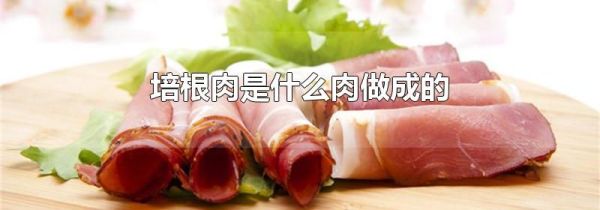 培根肉是什么肉做成的