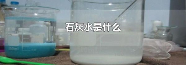 石灰水是什么
