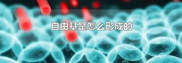 自由基是怎么形成的