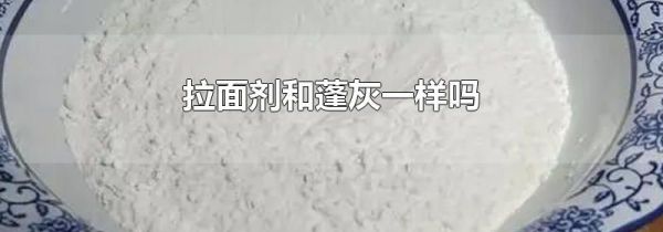 拉面剂和蓬灰一样吗