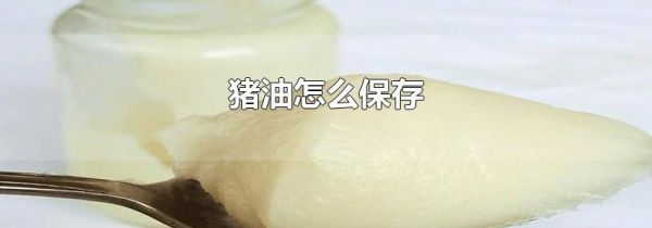 猪油怎么保存