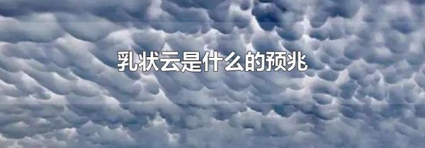乳状云是什么的预兆
