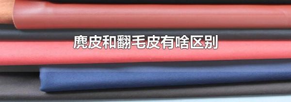 麂皮和翻毛皮有啥区别