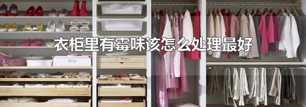 衣柜里有霉味该怎么处理最好