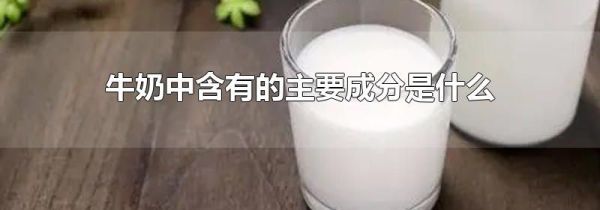 牛奶中含有的主要成分是什么
