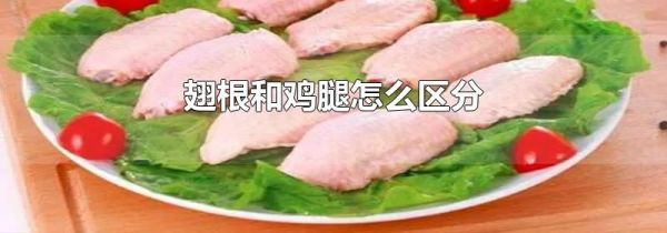 翅根和鸡腿怎么区分