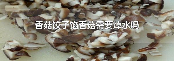 香菇饺子馅香菇需要焯水吗