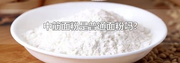 中筋面粉是普通面粉吗?