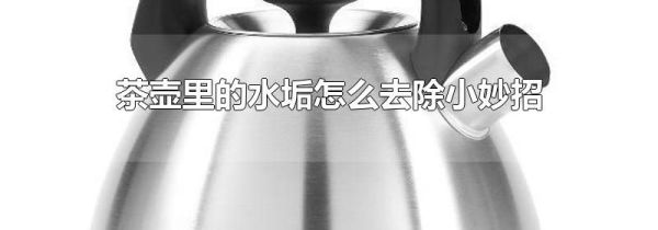茶壶里的水垢怎么去除小妙招