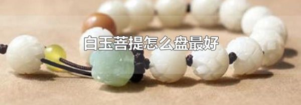 白玉菩提怎么盘最好