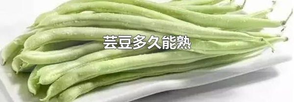 芸豆多久能熟