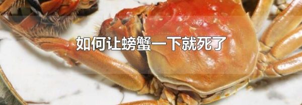 如何让螃蟹一下就死了