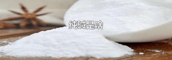 纯碱是啥