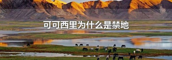 可可西里为什么是禁地