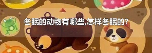 冬眠的动物有哪些,怎样冬眠的?