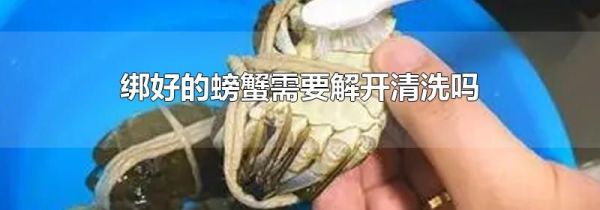 绑好的螃蟹需要解开清洗吗