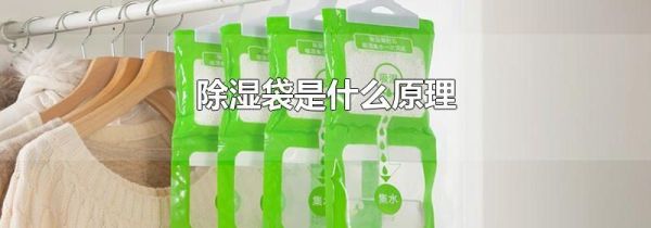 除湿袋是什么原理