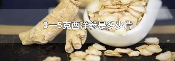 3一5克西洋参是多少片