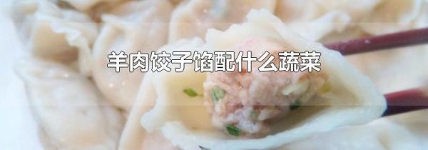 羊肉饺子馅配什么蔬菜