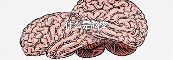 什么是脑交