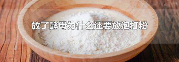 放了酵母为什么还要放泡打粉