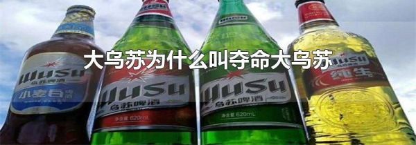 大乌苏为什么叫夺命大乌苏