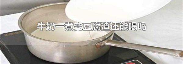 牛奶一煮变豆腐渣还能喝吗