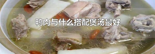 鸭肉与什么搭配煲汤最好