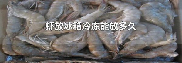 虾放冰箱冷冻能放多久