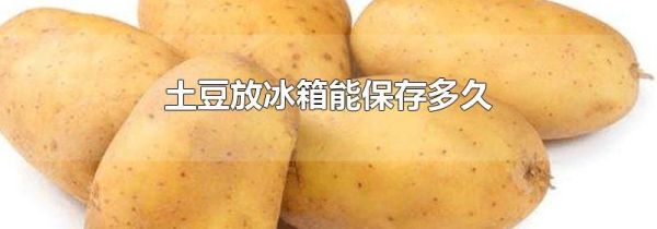 土豆放冰箱能保存多久
