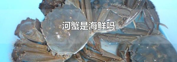 河蟹是海鲜吗