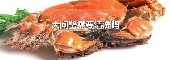 大闸蟹需要清洗吗