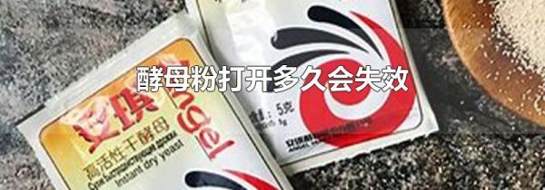 酵母粉打开多久会失效