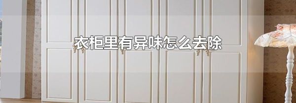 衣柜里有异味怎么去除