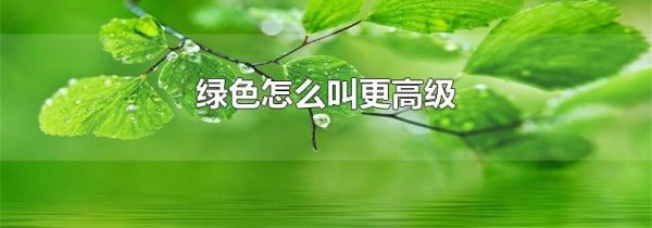绿色怎么叫更高级