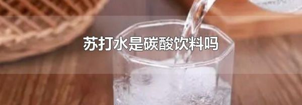 苏打水是碳酸饮料吗