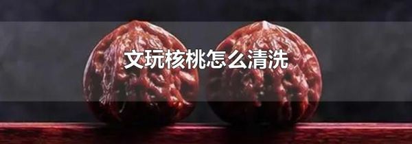 文玩核桃怎么清洗