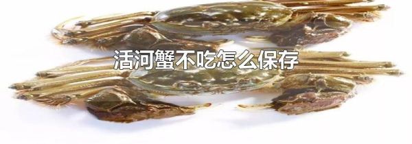 活河蟹不吃怎么保存