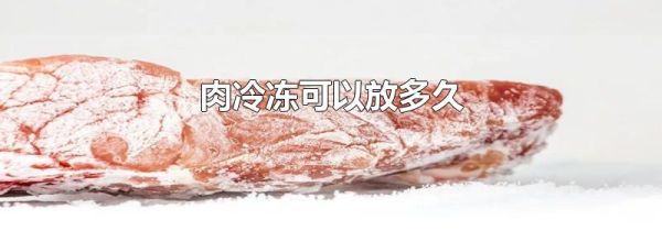 肉冷冻可以放多久