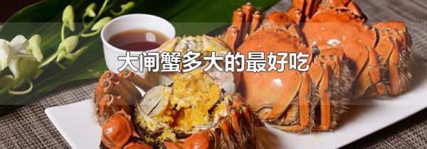 大闸蟹多大的最好吃
