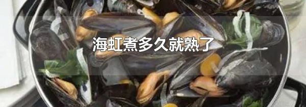 海虹煮多久就熟了