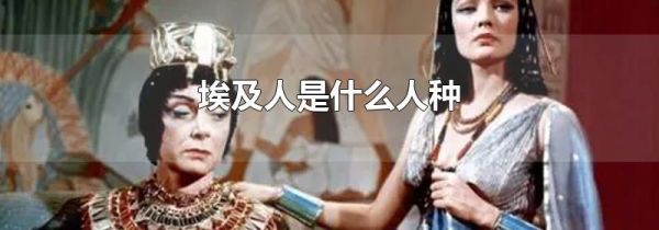 埃及人是什么人种