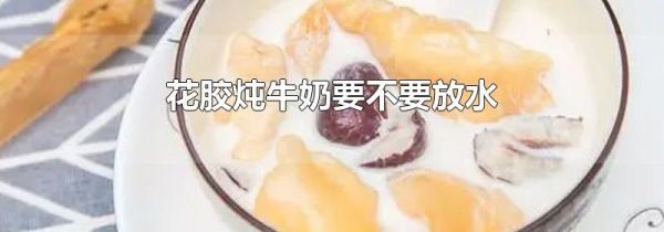 花胶炖牛奶要不要放水